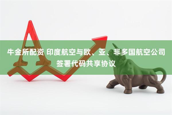 牛金所配资 印度航空与欧、亚、非多国航空公司签署代码共享协议