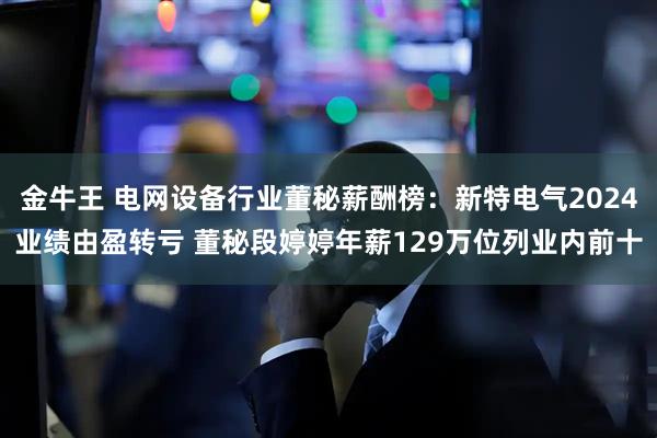 金牛王 电网设备行业董秘薪酬榜：新特电气2024业绩由盈转亏 董秘段婷婷年薪129万位列业内前十